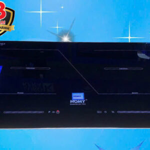 Bếp Từ Đôi HOMY HM-201pro